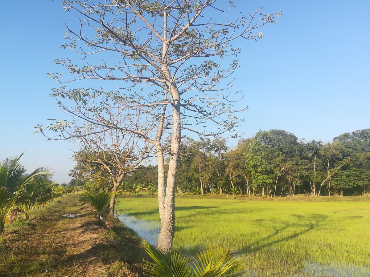 Bn Resort Ban Nong Chum Saeng Exterior photo